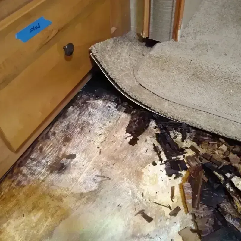 Wood Floor Water Damage in Saint James City, FL